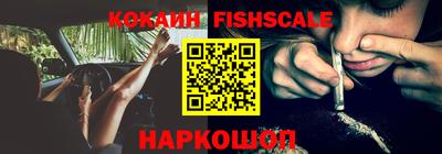 стаф Кунгур