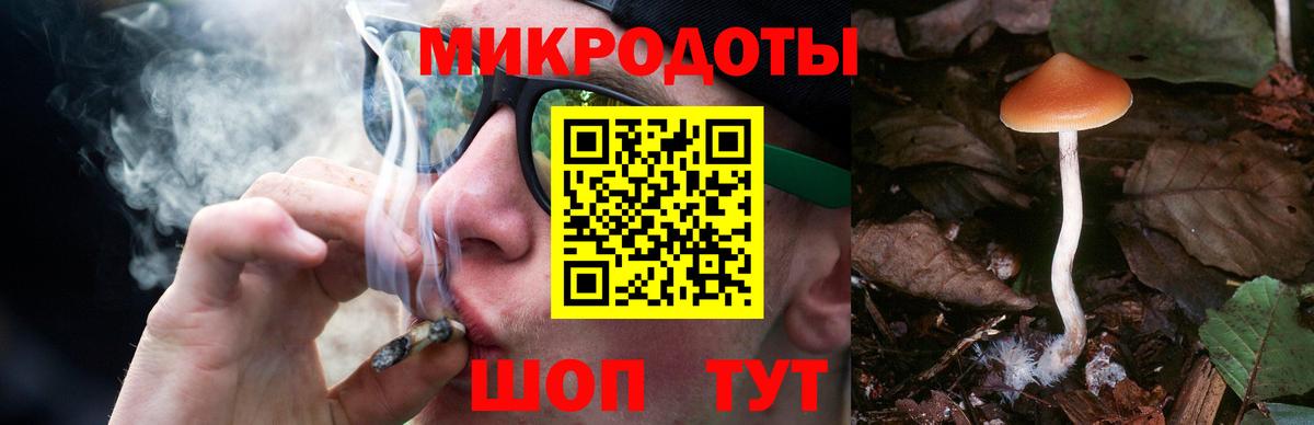 Галлюциногенные грибы GOLDEN TEACHER Советская Гавань
