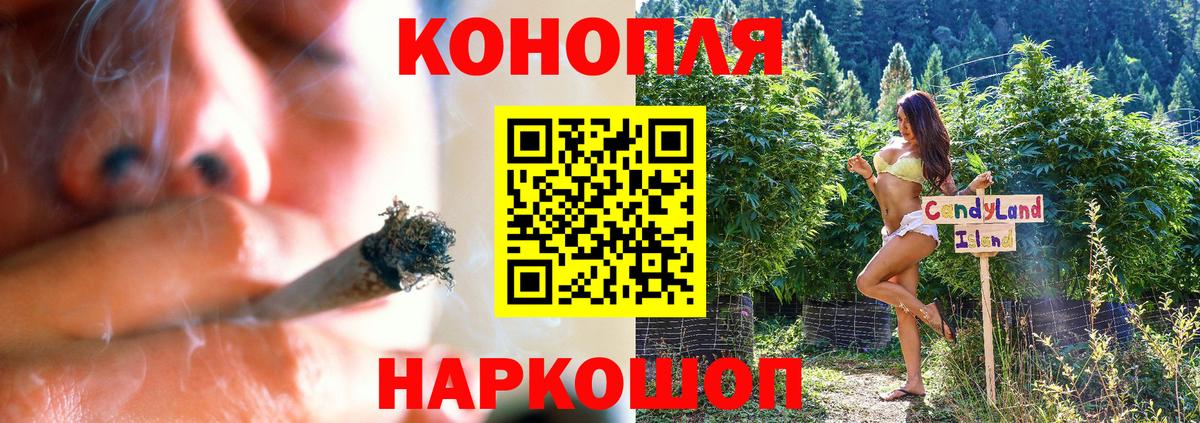 Бошки Шишки конопля Советская Гавань